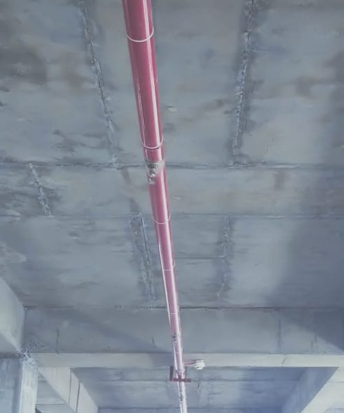 WhatsApp Image 2021-07-29 at 8.30.37 AM